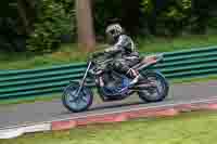 cadwell-no-limits-trackday;cadwell-park;cadwell-park-photographs;cadwell-trackday-photographs;enduro-digital-images;event-digital-images;eventdigitalimages;no-limits-trackdays;peter-wileman-photography;racing-digital-images;trackday-digital-images;trackday-photos